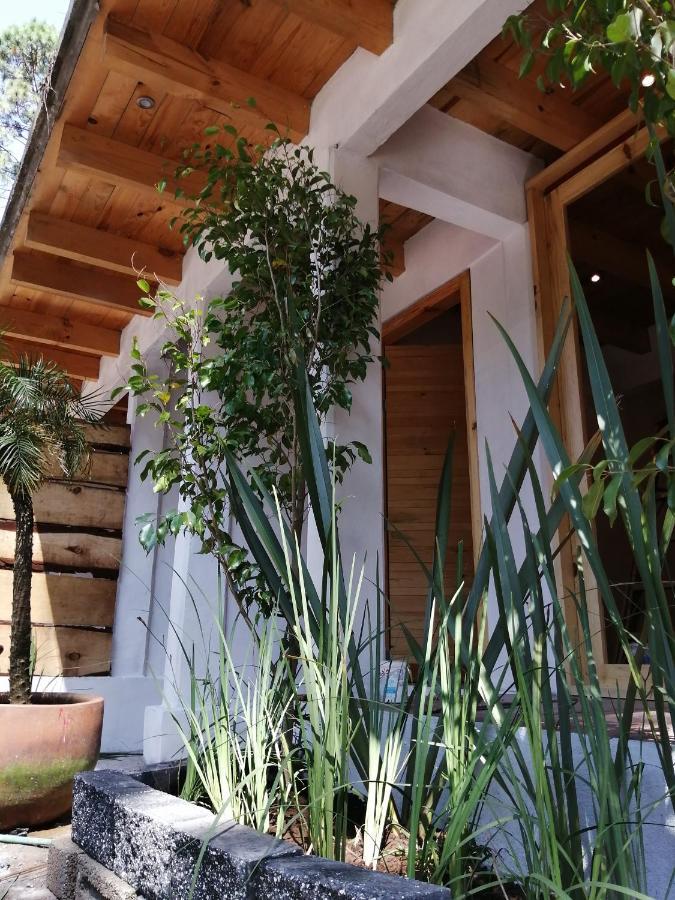 Вілла Encino House Вальє-де-Браво Екстер'єр фото